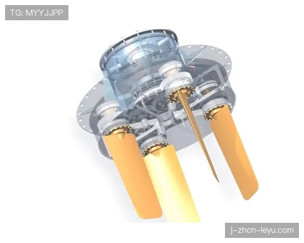 顶级赛艇桨叶水动力模型的优化：他是如何通过形状参数增加推力的